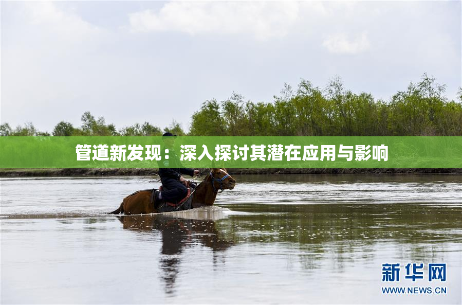 管道新发现：深入探讨其潜在应用与影响