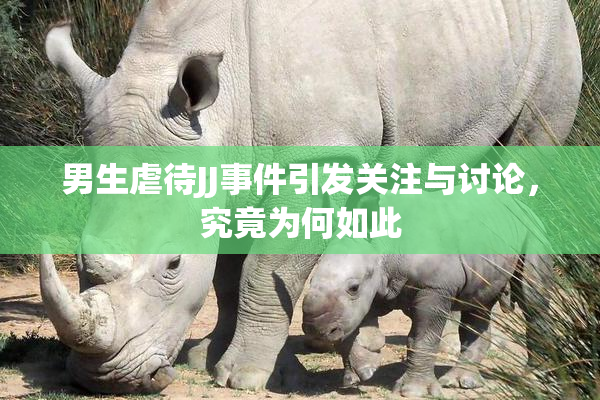 男生虐待JJ事件引发关注与讨论，究竟为何如此