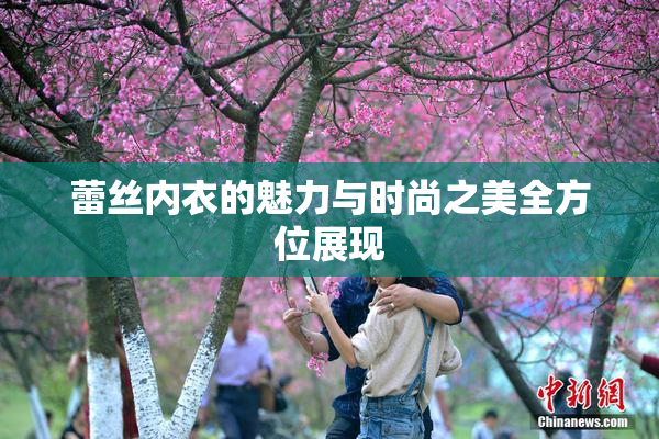 蕾丝内衣的魅力与时尚之美全方位展现