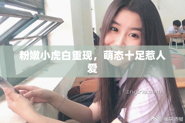 粉嫩小虎白重现，萌态十足惹人爱