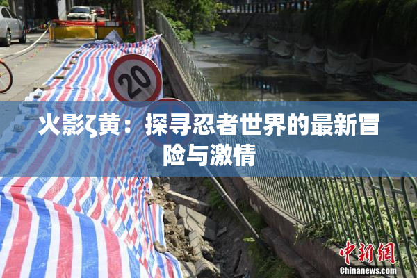 火影ζ黄：探寻忍者世界的最新冒险与激情