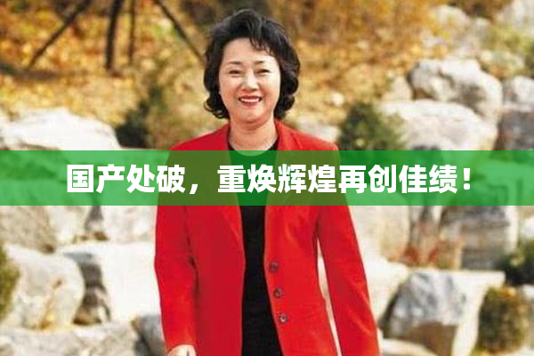 国产处破，重焕辉煌再创佳绩！