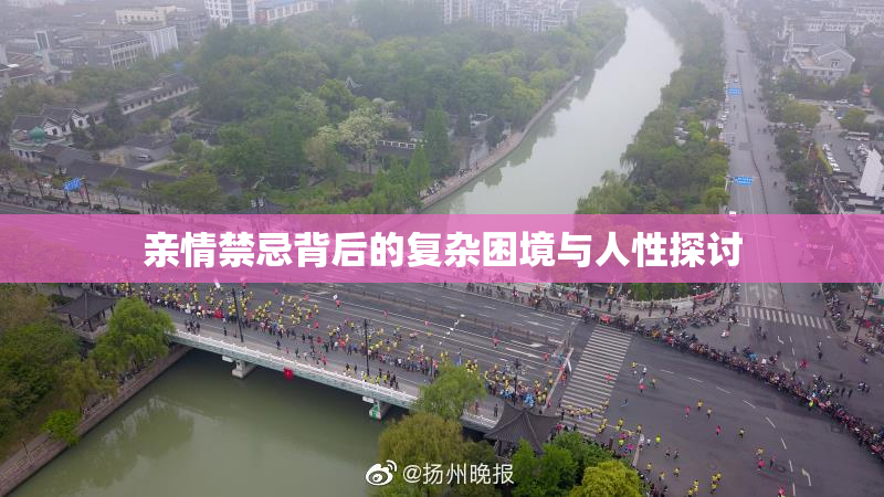 亲情禁忌背后的复杂困境与人性探讨