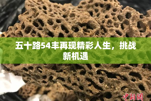 五十路54丰再现精彩人生，挑战新机遇