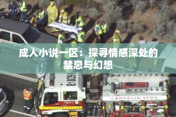 成人小说一区：探寻情感深处的禁忌与幻想