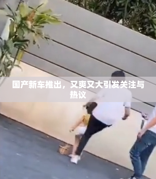 国产新车推出，又爽又大引发关注与热议