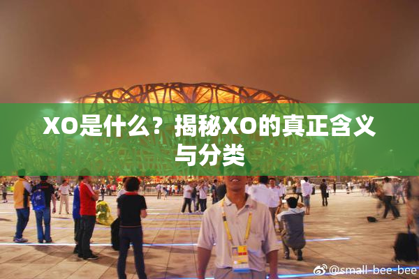 XO是什么？揭秘XO的真正含义与分类