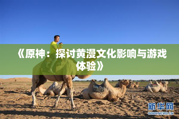 《原神：探讨黄漫文化影响与游戏体验》