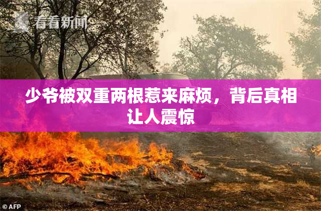少爷被双重两根惹来麻烦，背后真相让人震惊