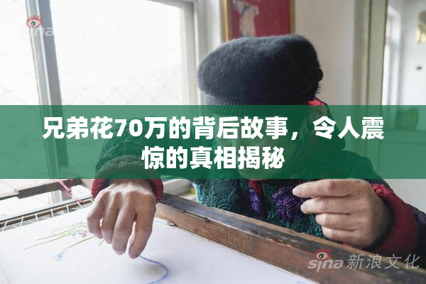兄弟花70万的背后故事，令人震惊的真相揭秘