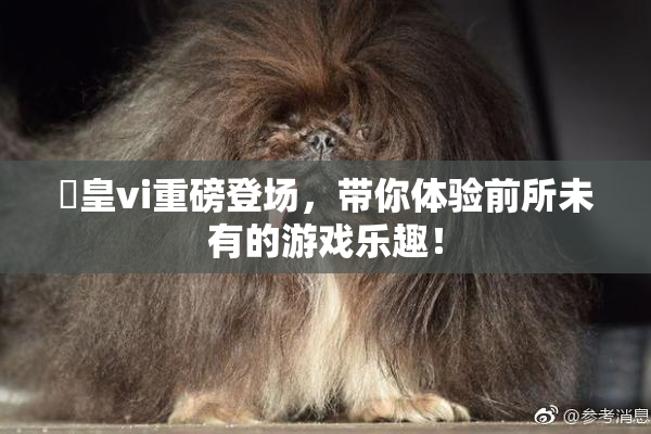 嘼皇vi重磅登场，带你体验前所未有的游戏乐趣！