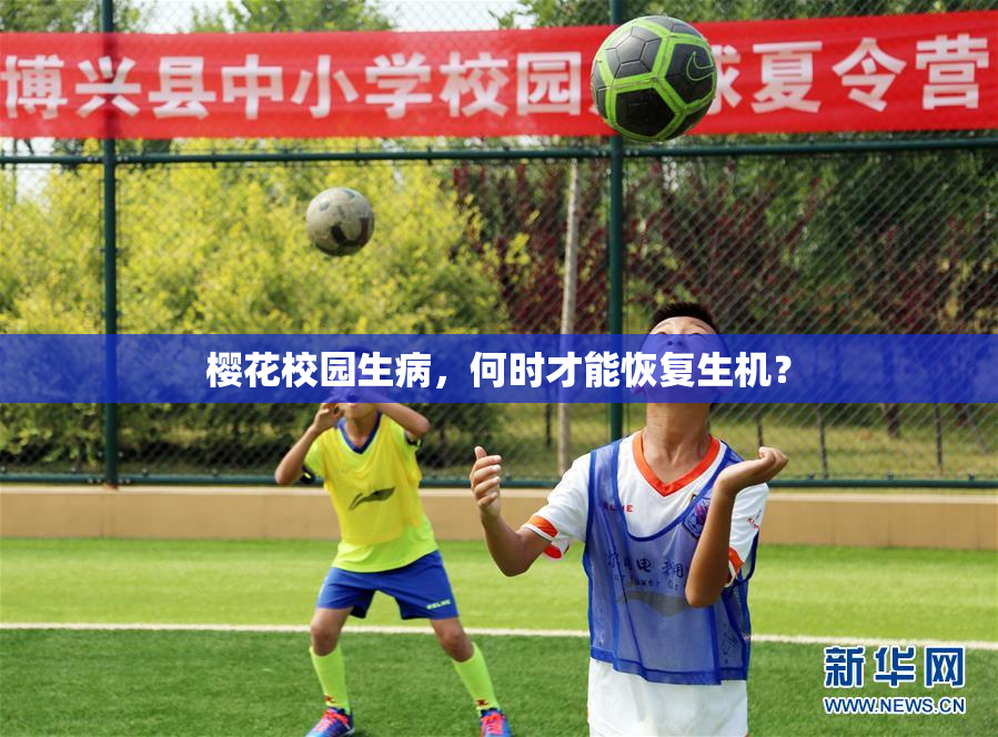 樱花校园生病，何时才能恢复生机？
