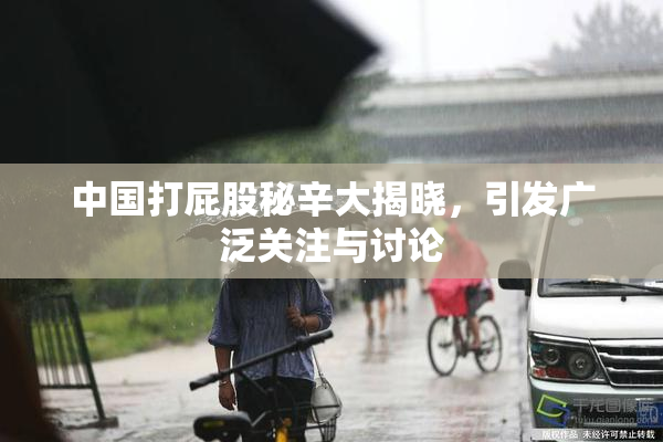 中国打屁股秘辛大揭晓，引发广泛关注与讨论
