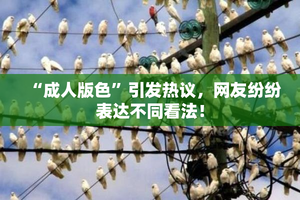 “成人版色”引发热议，网友纷纷表达不同看法！