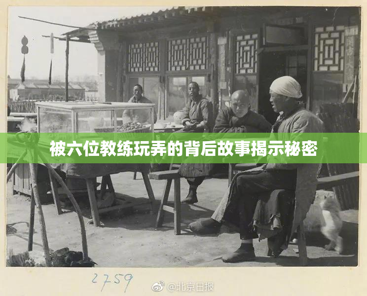 被六位教练玩弄的背后故事揭示秘密