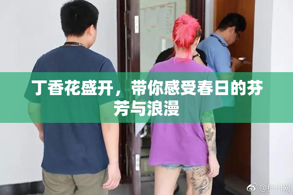 丁香花盛开，带你感受春日的芬芳与浪漫
