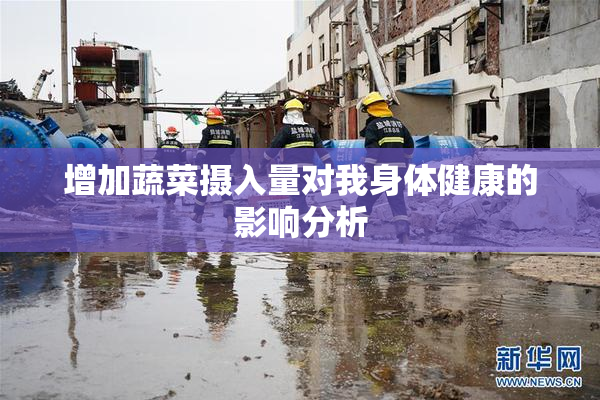 增加蔬菜摄入量对我身体健康的影响分析