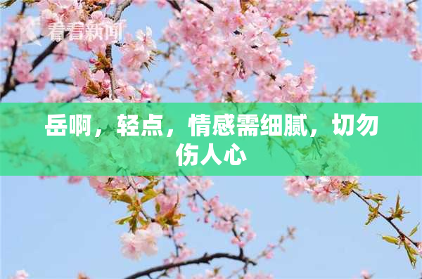 岳啊，轻点，情感需细腻，切勿伤人心