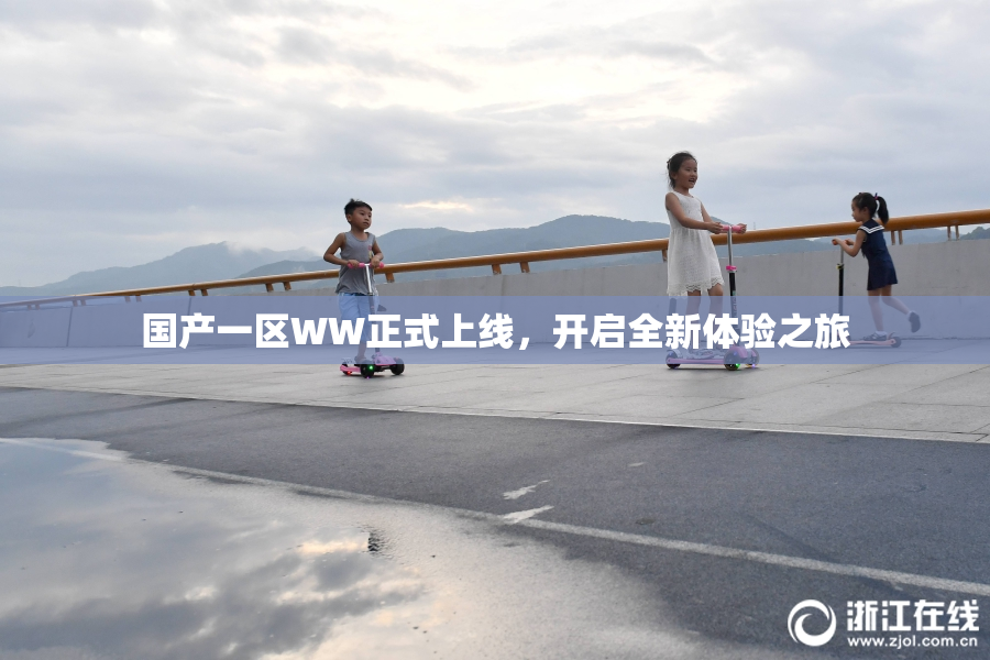 国产一区WW正式上线，开启全新体验之旅