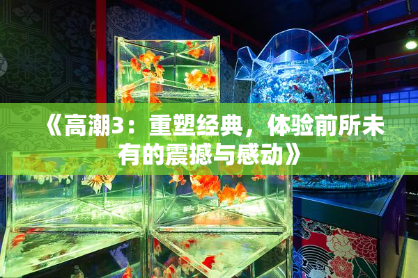 《高潮3：重塑经典，体验前所未有的震撼与感动》