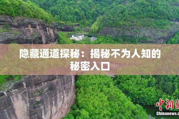隐藏通道探秘：揭秘不为人知的秘密入口