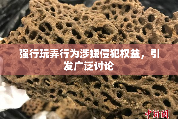 强行玩弄行为涉嫌侵犯权益，引发广泛讨论