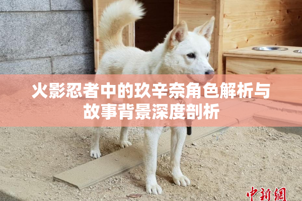 火影忍者中的玖辛奈角色解析与故事背景深度剖析