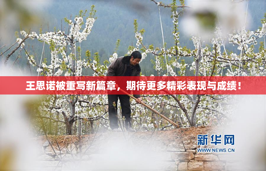 王思诺被重写新篇章，期待更多精彩表现与成绩！