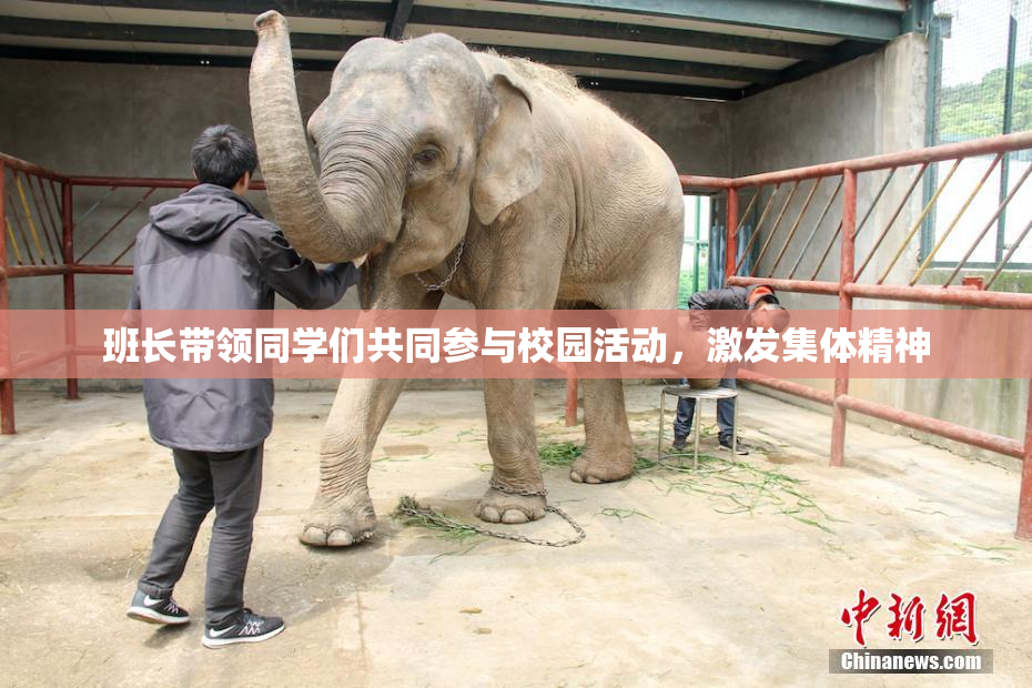班长带领同学们共同参与校园活动，激发集体精神