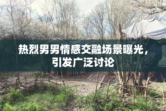 热烈男男情感交融场景曝光，引发广泛讨论