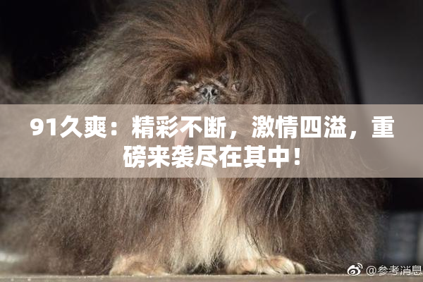 91久爽：精彩不断，激情四溢，重磅来袭尽在其中！