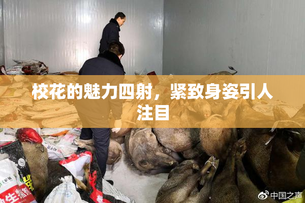 校花的魅力四射，紧致身姿引人注目