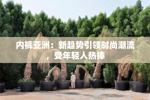 内裤亚洲：新趋势引领时尚潮流，受年轻人热捧