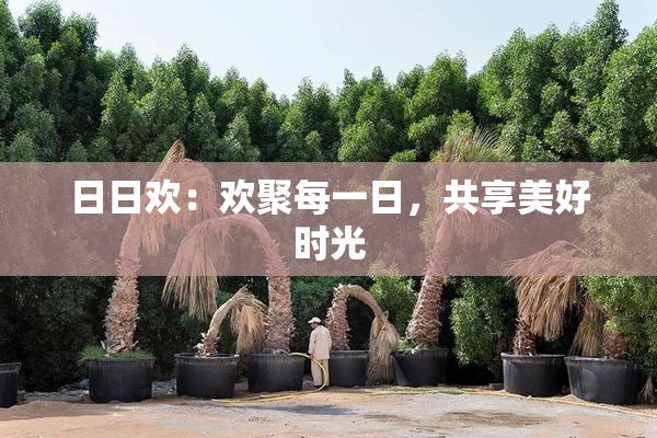 日日欢：欢聚每一日，共享美好时光