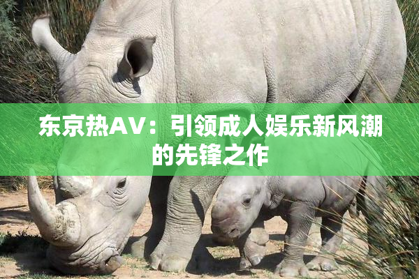 东京热AV：引领成人娱乐新风潮的先锋之作