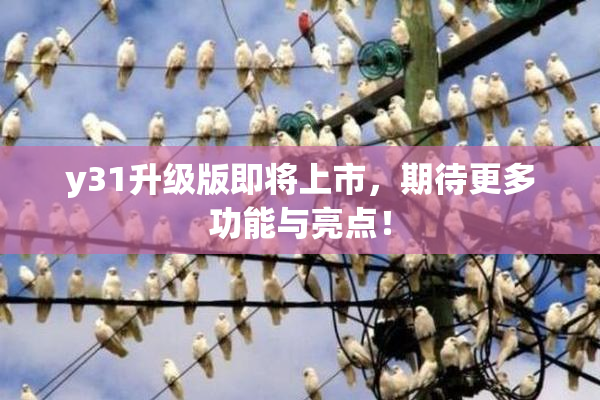 y31升级版即将上市，期待更多功能与亮点！
