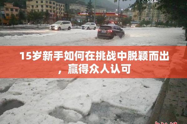 15岁新手如何在挑战中脱颖而出，赢得众人认可