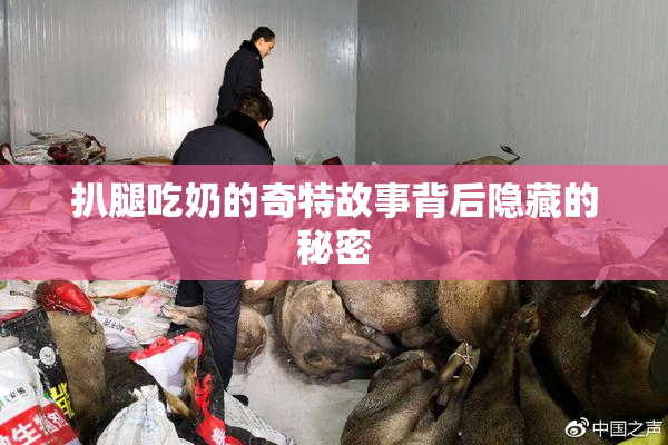扒腿吃奶的奇特故事背后隐藏的秘密