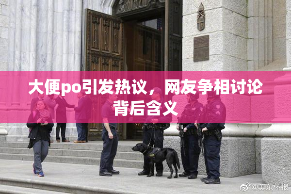大便po引发热议，网友争相讨论背后含义