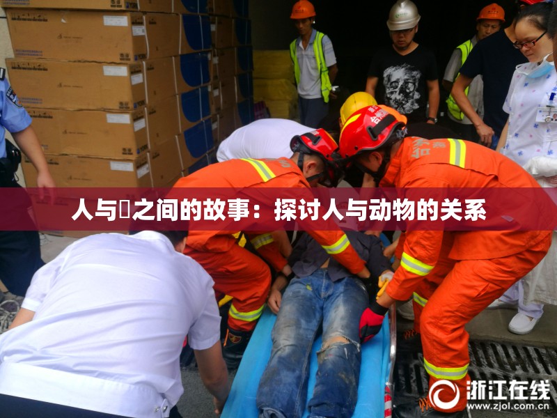 人与嘼之间的故事：探讨人与动物的关系