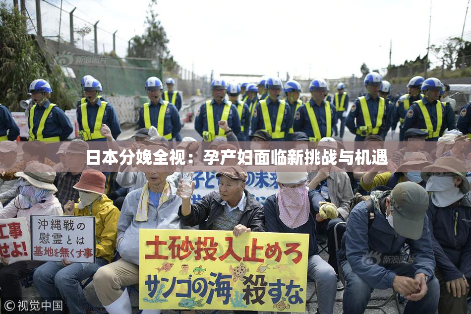 日本分娩全视：孕产妇面临新挑战与机遇