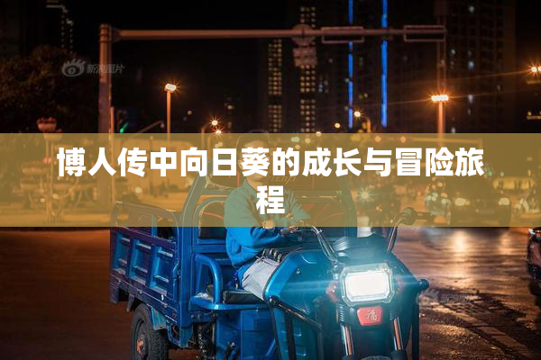 博人传中向日葵的成长与冒险旅程