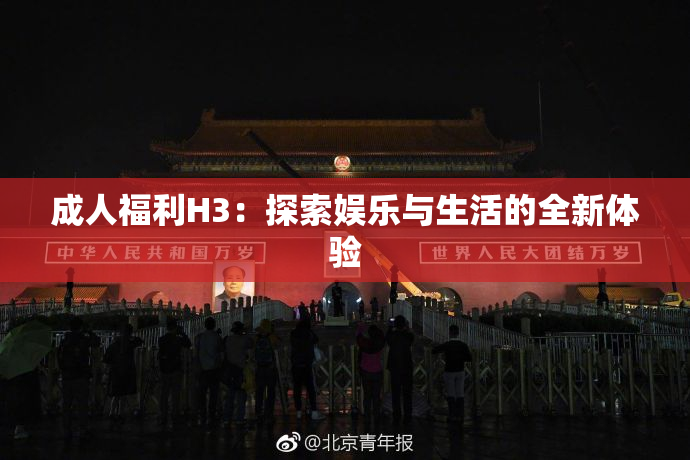 成人福利H3：探索娱乐与生活的全新体验