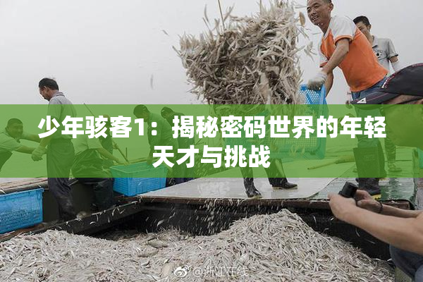 少年骇客1：揭秘密码世界的年轻天才与挑战