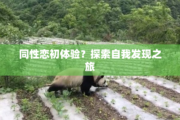 同性恋初体验？探索自我发现之旅