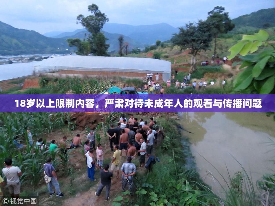 18岁以上限制内容，严肃对待未成年人的观看与传播问题