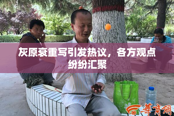 灰原衰重写引发热议，各方观点纷纷汇聚