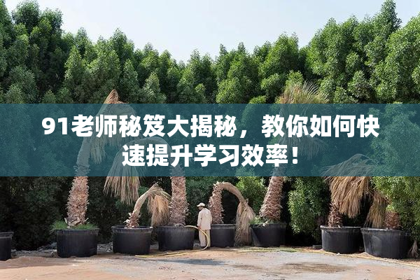 91老师秘笈大揭秘，教你如何快速提升学习效率！