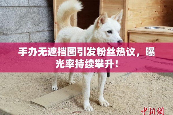 手办无遮挡图引发粉丝热议，曝光率持续攀升！