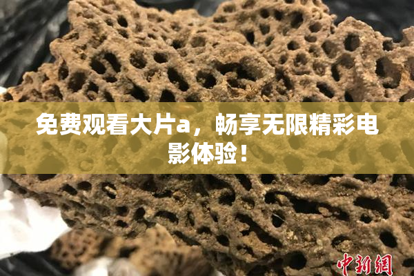 免费观看大片a，畅享无限精彩电影体验！